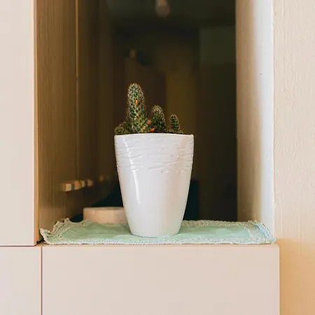 Old Town Apartment